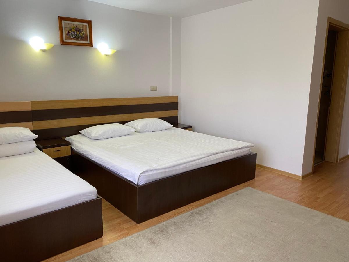 Pensiunea Andra Timişoara Extérieur photo
