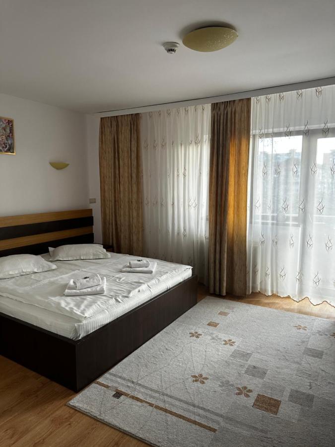 Pensiunea Andra Timişoara Extérieur photo