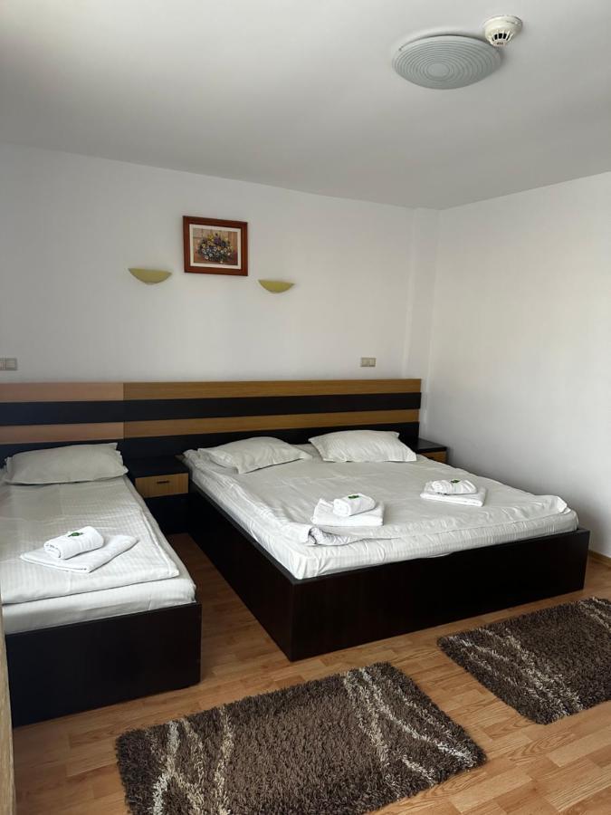 Pensiunea Andra Timişoara Extérieur photo
