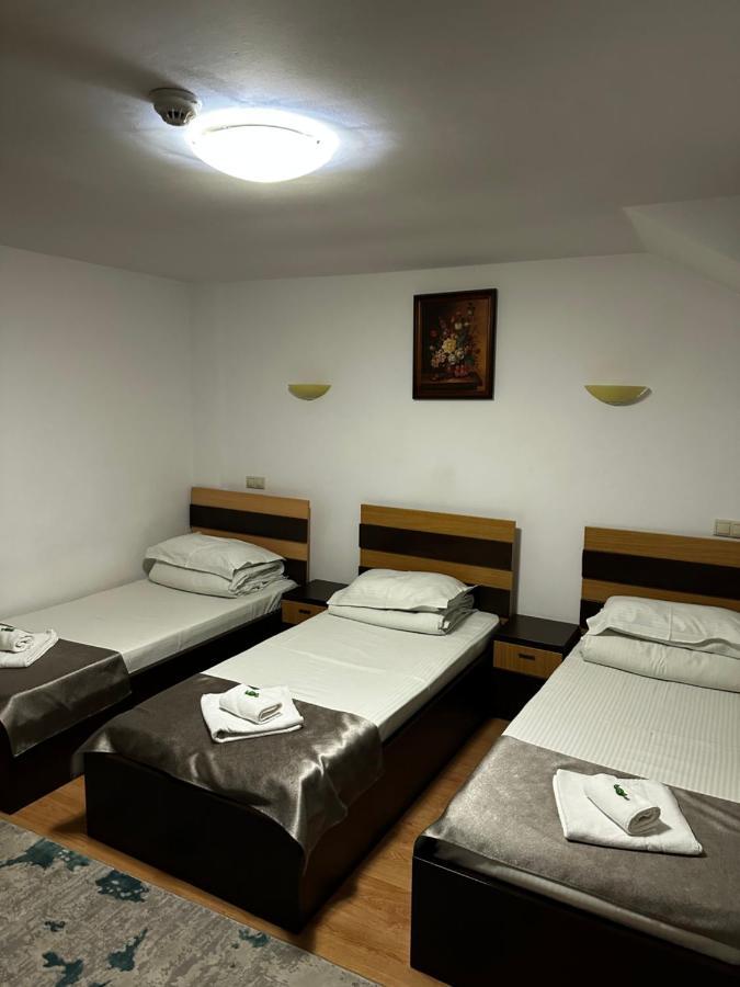 Pensiunea Andra Timişoara Extérieur photo