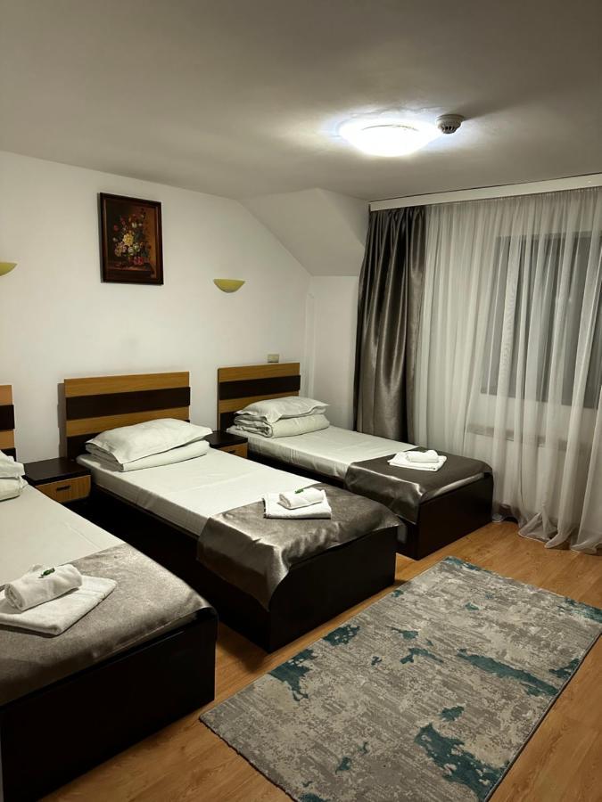 Pensiunea Andra Timişoara Extérieur photo